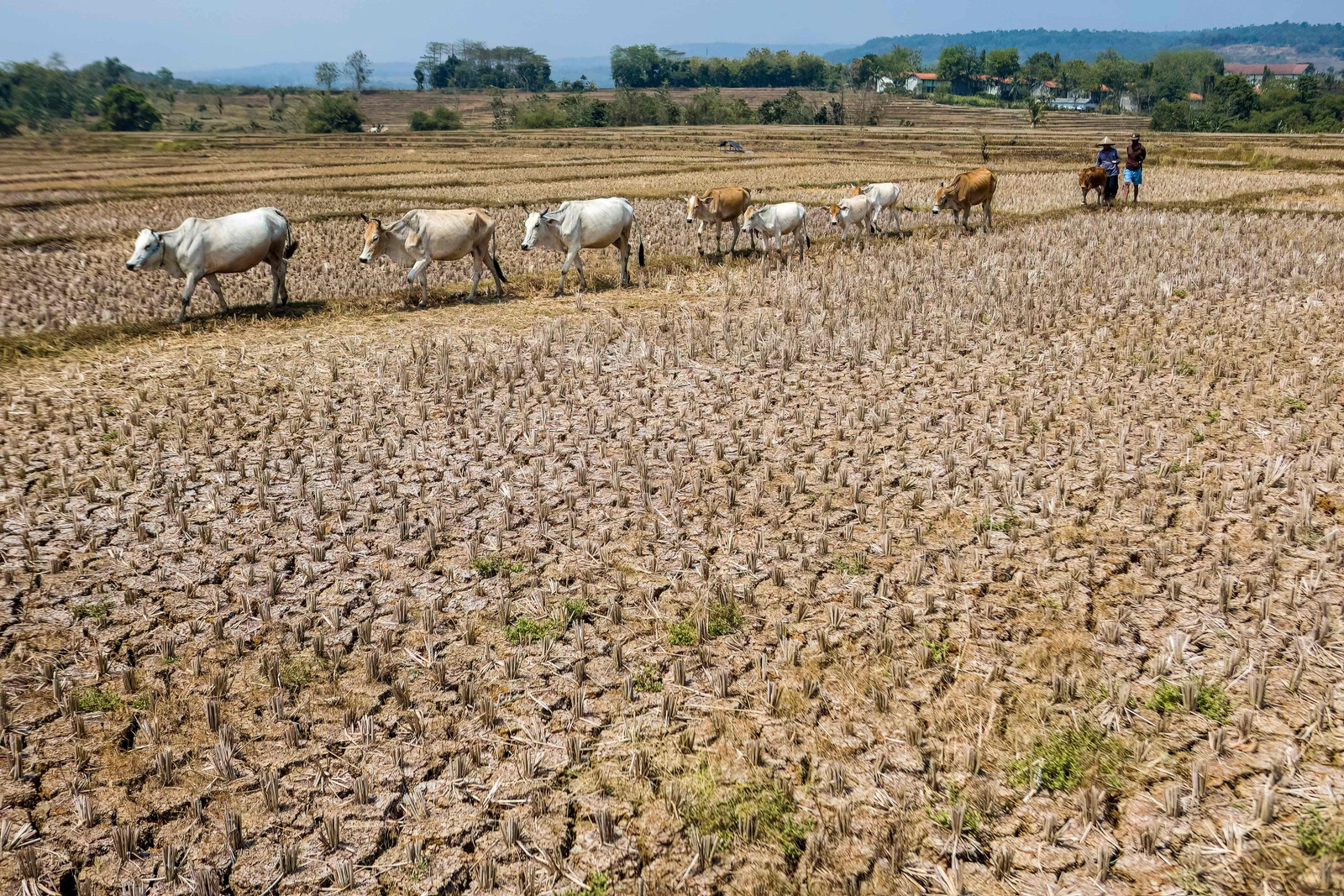 Global warming will exceed limit, UN says in a report that maps path to get back below danger zone