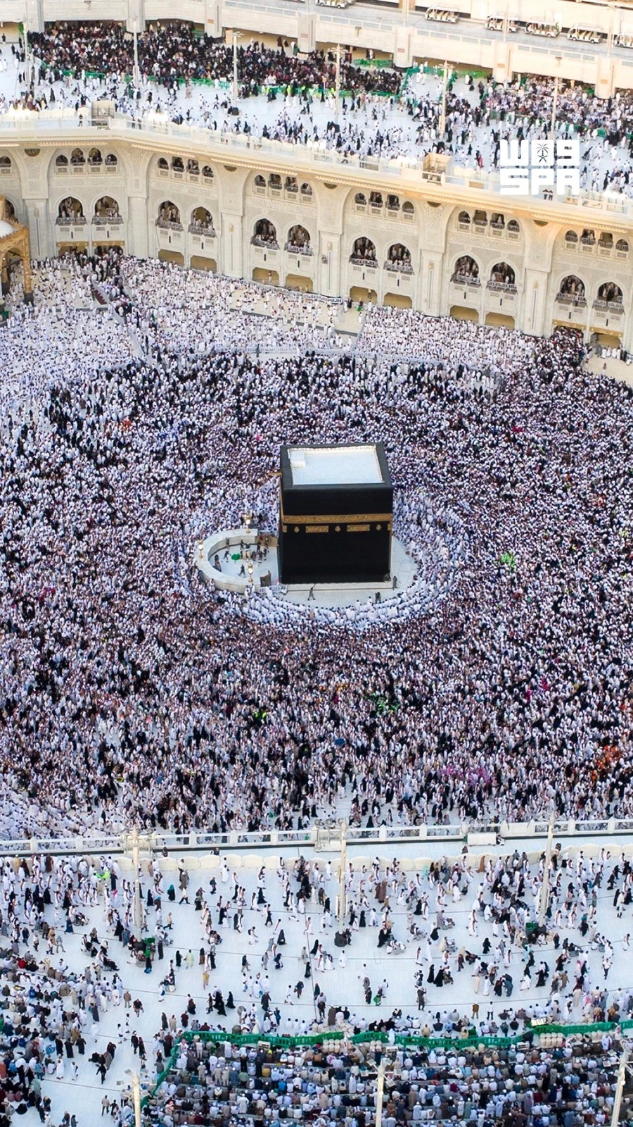 صورة الخبر