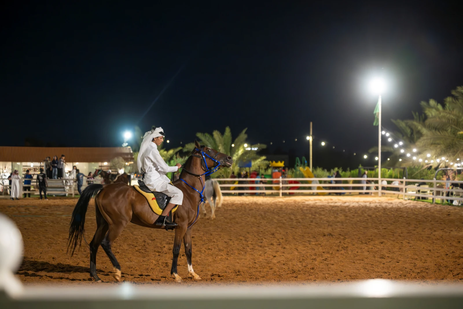 إسطبلات الجوف تعيد إحياء روح الفروسية