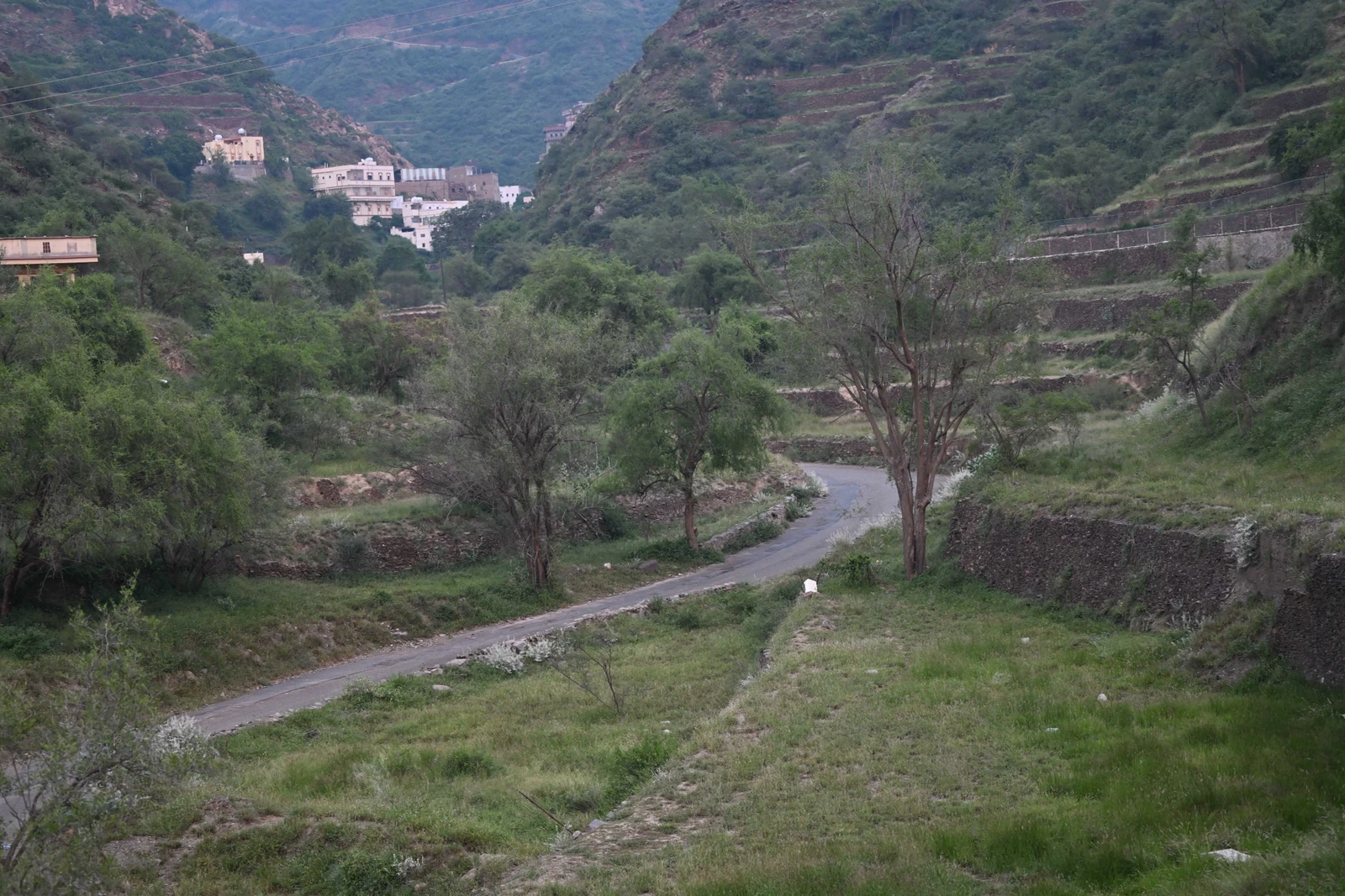 وادي الجنّية يتحول إلى وجهة تصوير مع موسم الأمطار