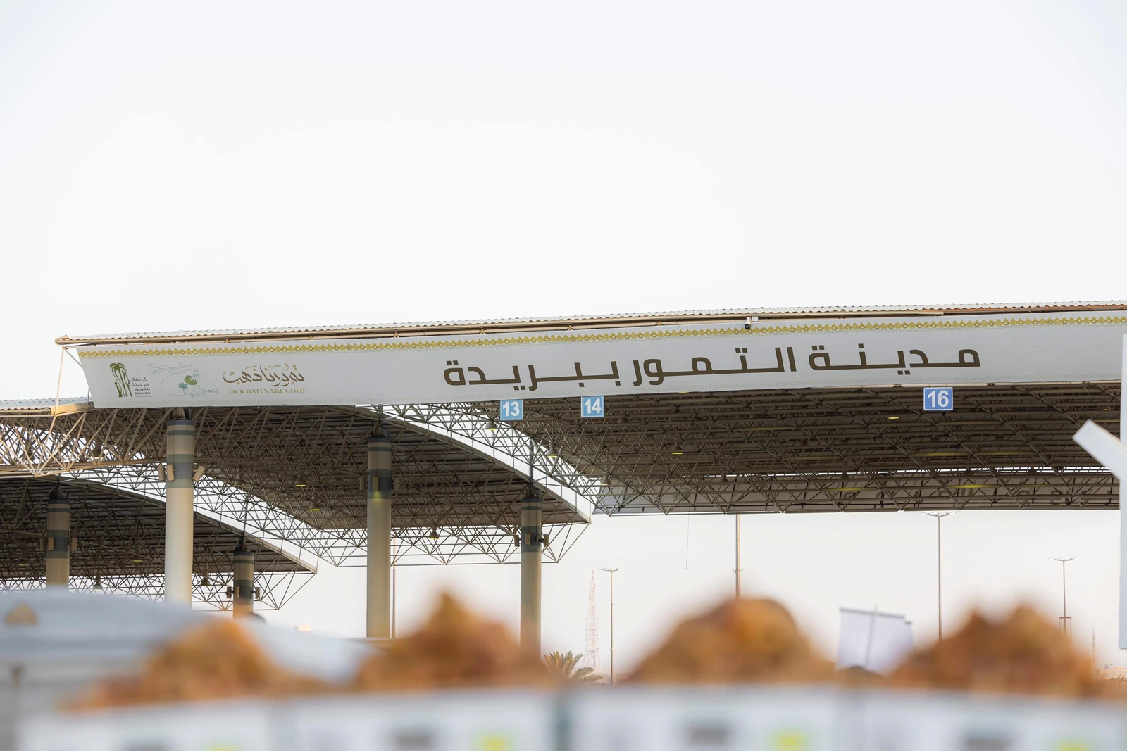 بريدة تستعد للكرنفال الدولي للتمور بـ75 يوماً من الأنشطة والفعاليات