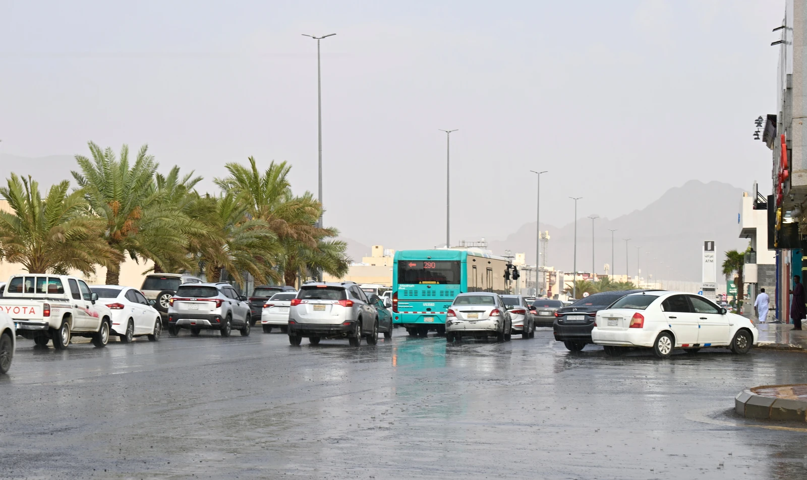 صورة الخبر