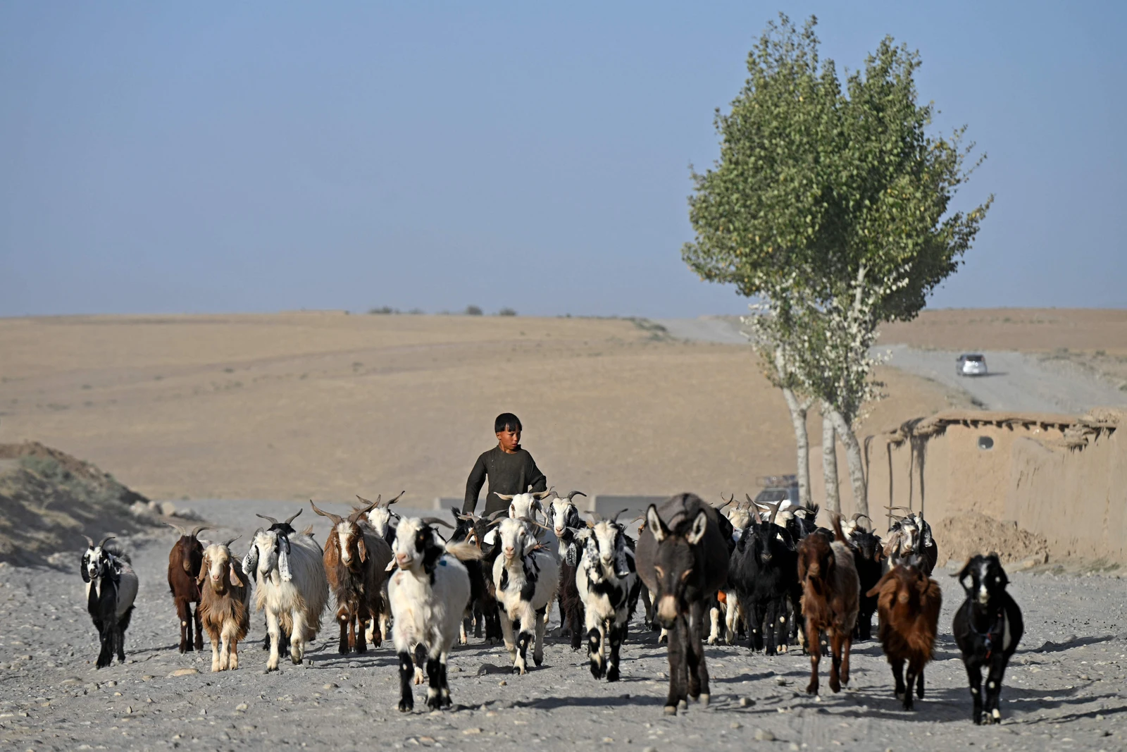 Taliban open to US investment: Minister