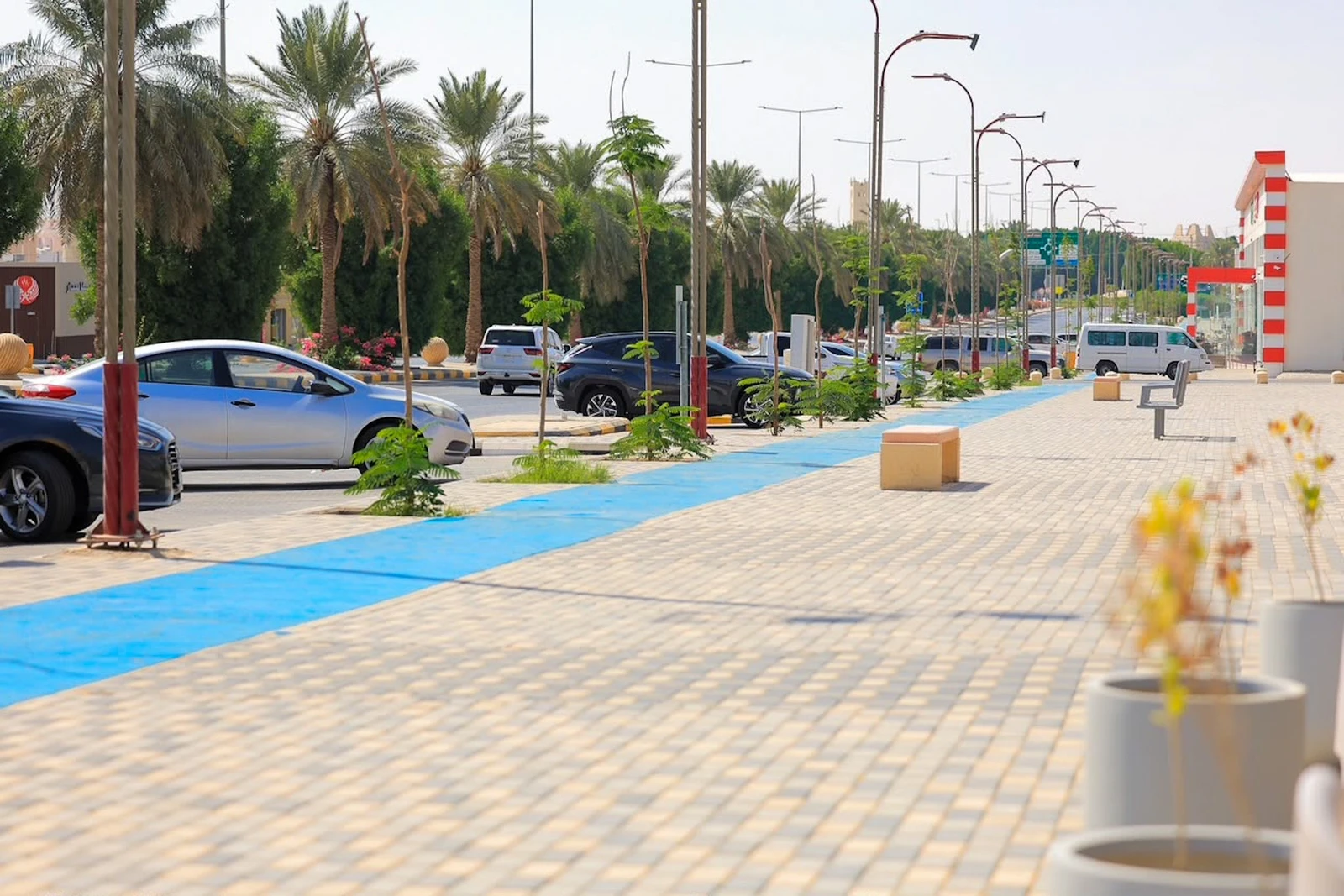 حدائق البكيرية جاهزة لصيف نابض بالحياة