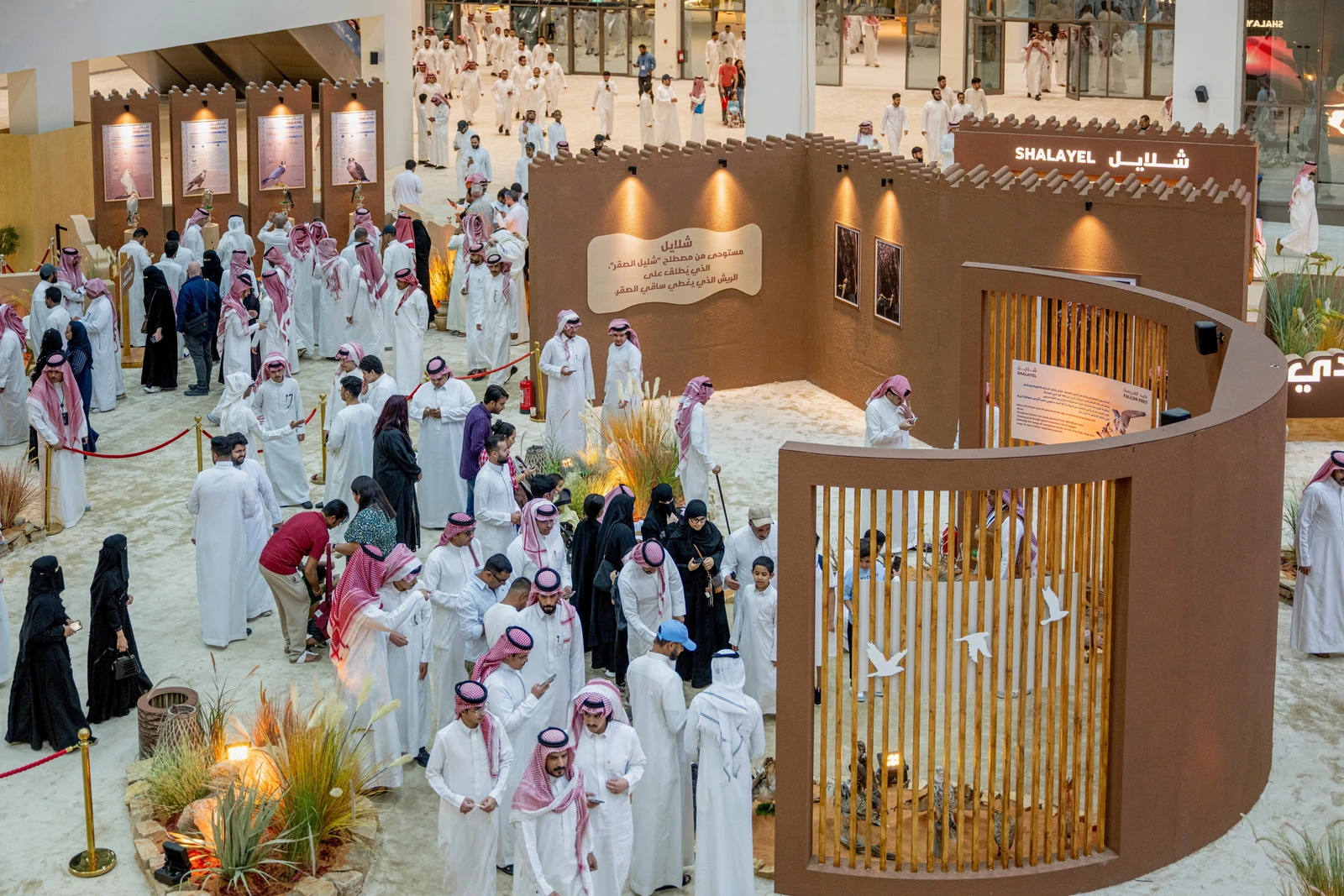 "تجربة للجميع".. الرياض تتجهز لانطلاق معرض الصقور