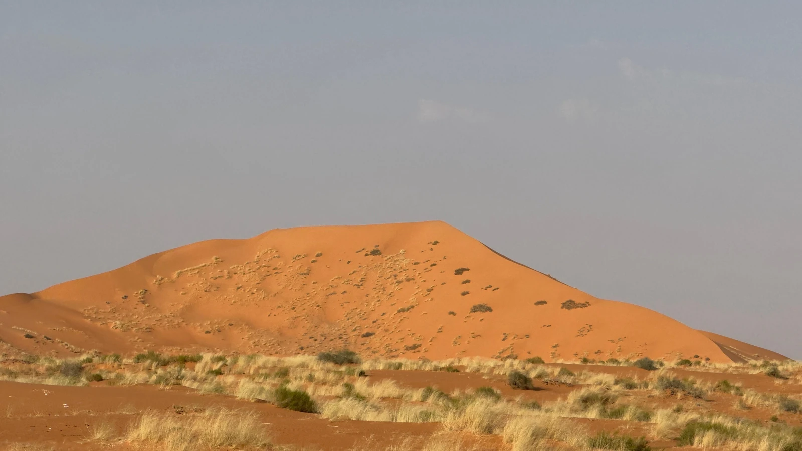تلال "نفود الأشياخ".. وجهة سياحية آسرة في صحراء الدهناء