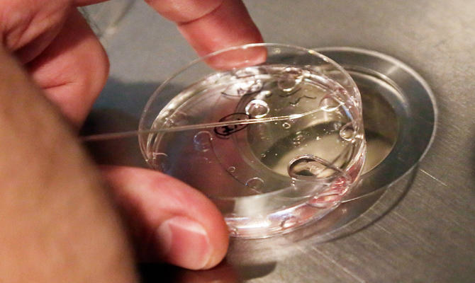 Greek woman has IVF birth 21 years after losing son