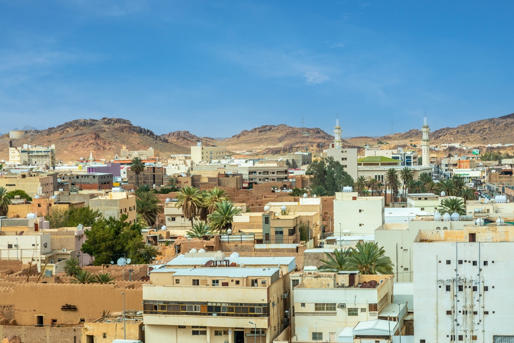 Hail Municipality offers 5 new investment opportunities