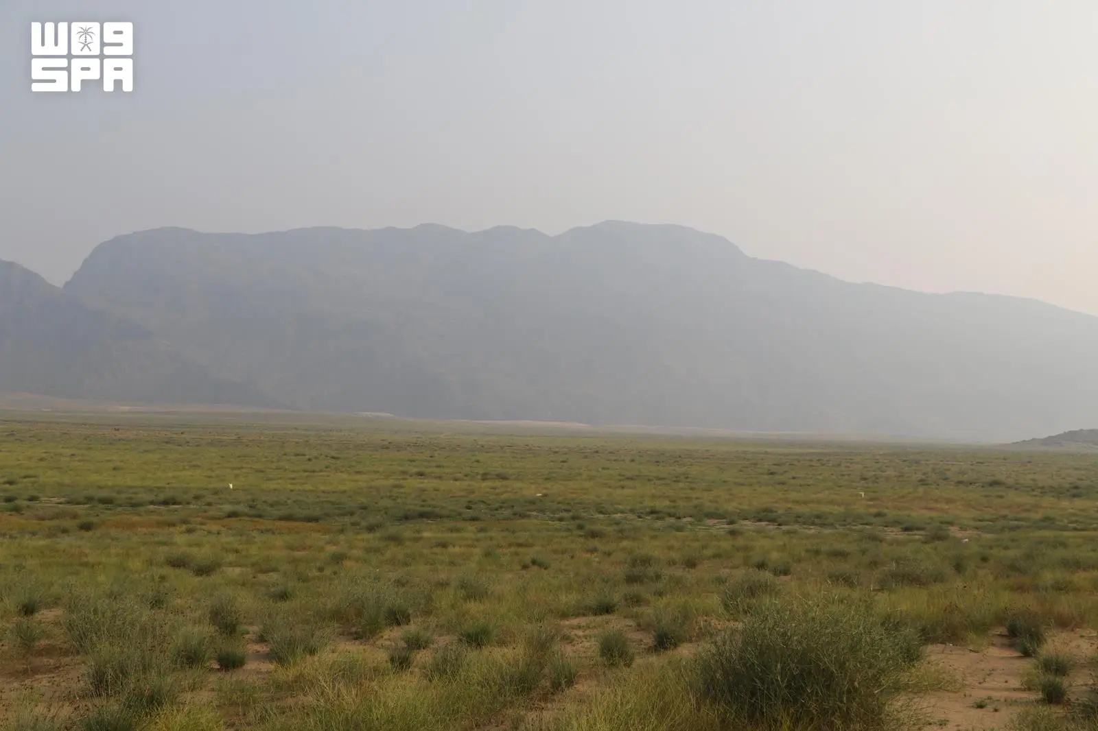 Makkah region parks open doors to eco-tourism