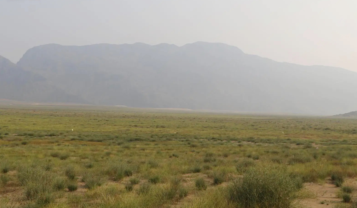 Makkah region parks open doors to eco-tourism