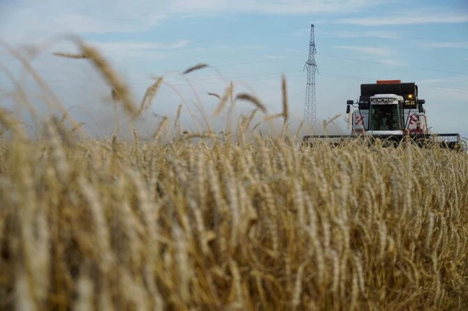 French wheat export outlook cut, maize stocks seen at 30-year low