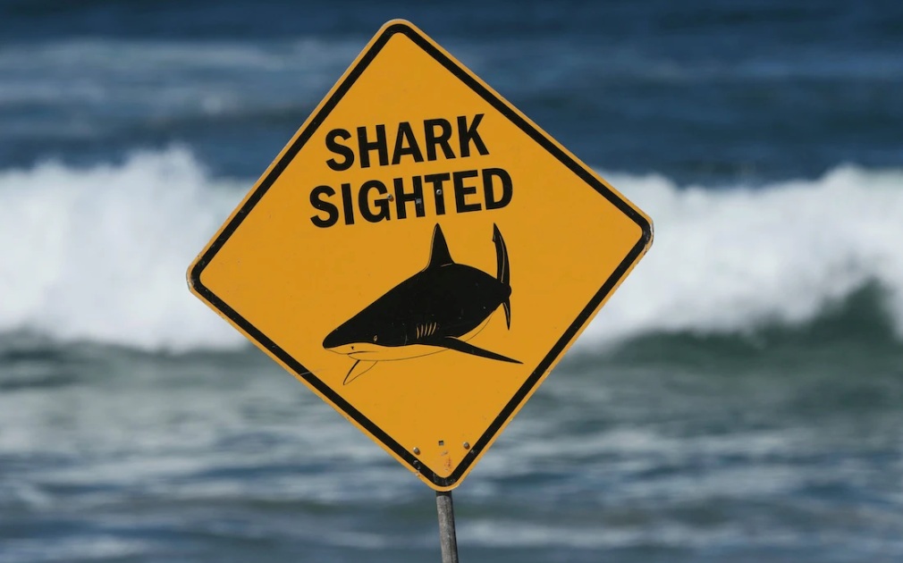 Shark kills swimmer off beach in Western Australia: police