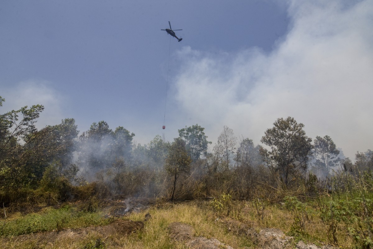 Indonesia accepts Malaysia's help to tackle wildfires