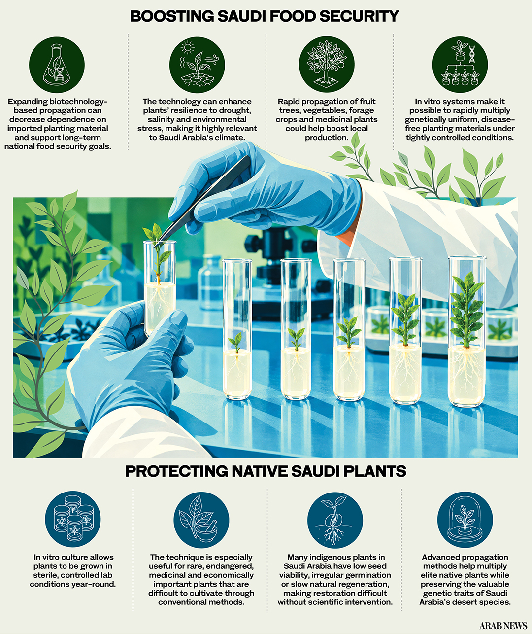 Saudi Arabia turns to in vitro technology to boost food security