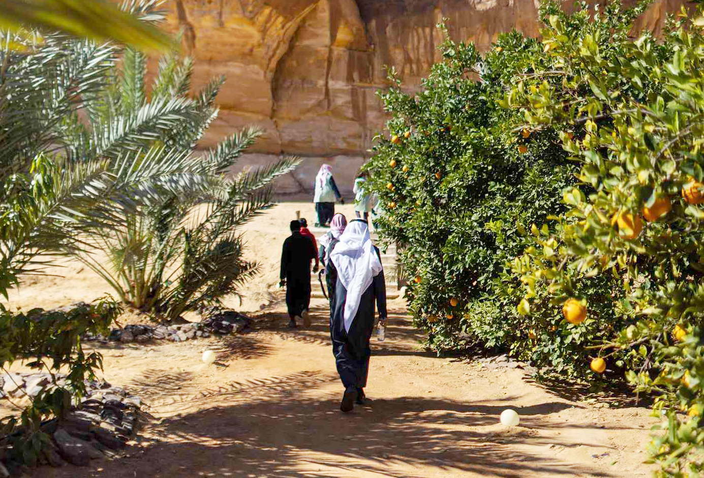 AlUla seeks to boost value of farm produce | Press Glob Coverage