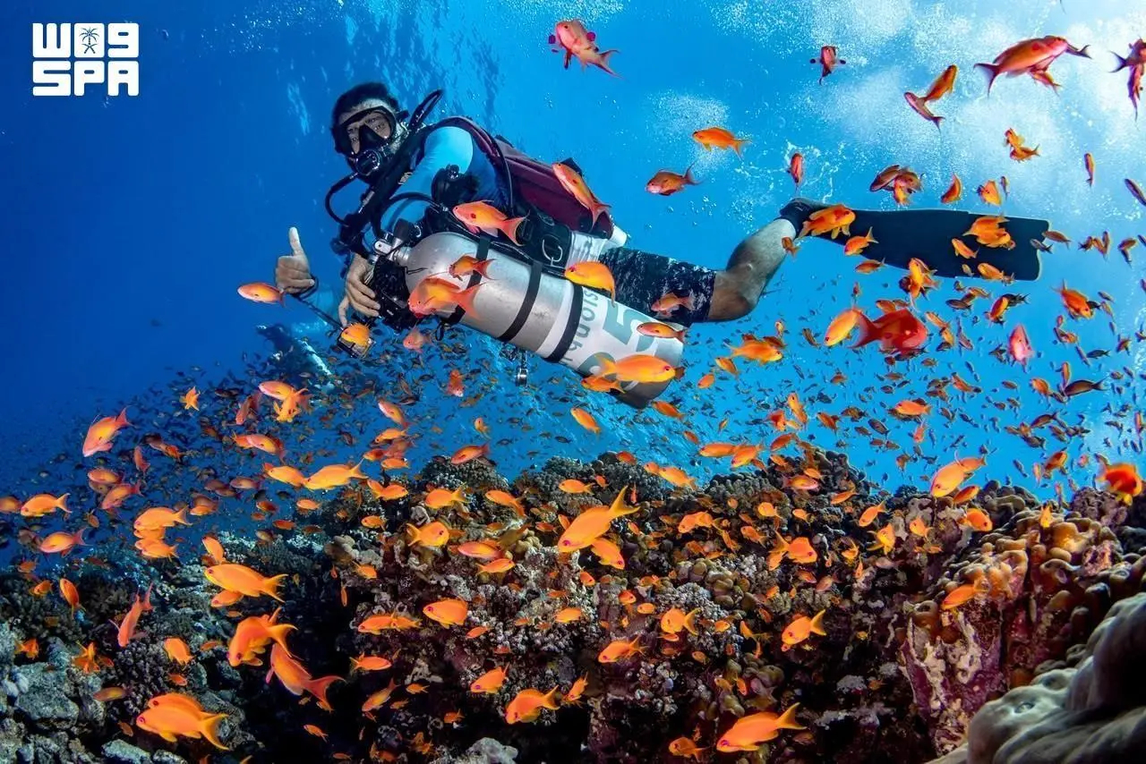 Saudi Blue Economy Shift: Coastal Tourism Growth Strategy | Press Glob