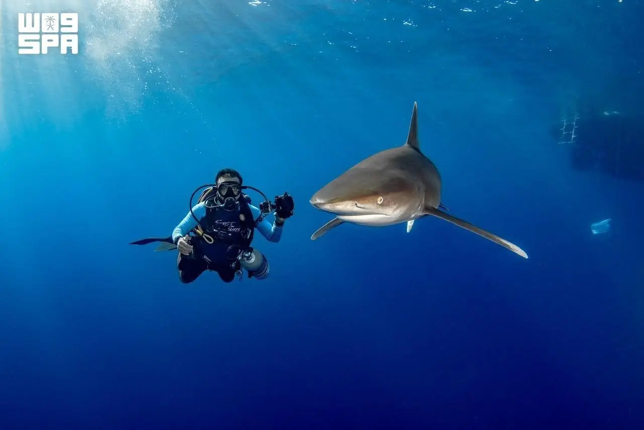 Certified professionals oversee diving activities under strict safety and marine conservation standards. (SPA)
