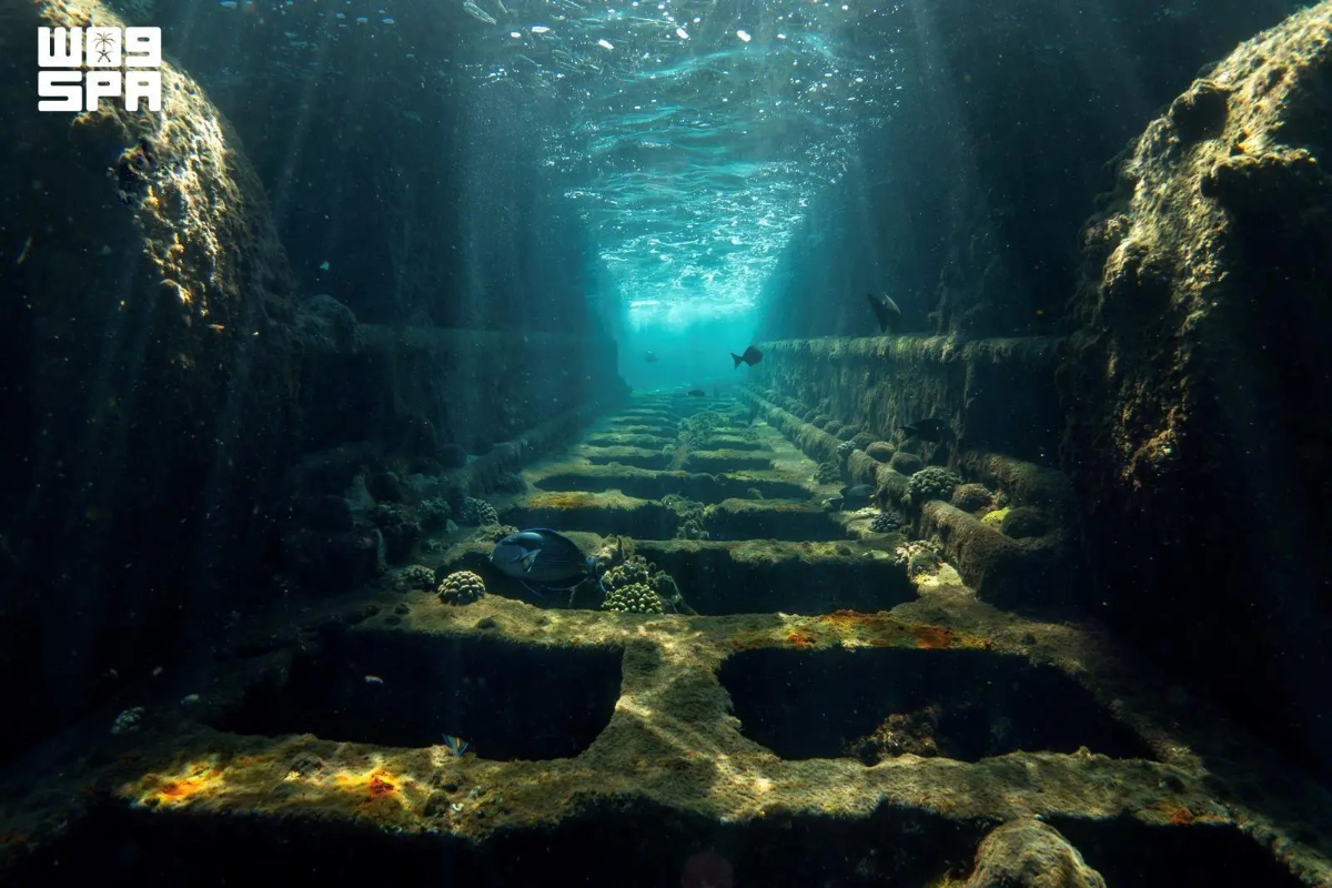 In the Arabian Gulf, calmer waters and historic shipwrecks around Jubail and Jana Island offer prime locations for wreck exploration, night diving and beginner training. (SPA)
