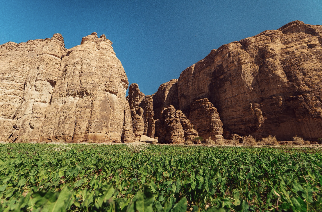AlUla wins gold at 2026 Responsible Tourism Awards
