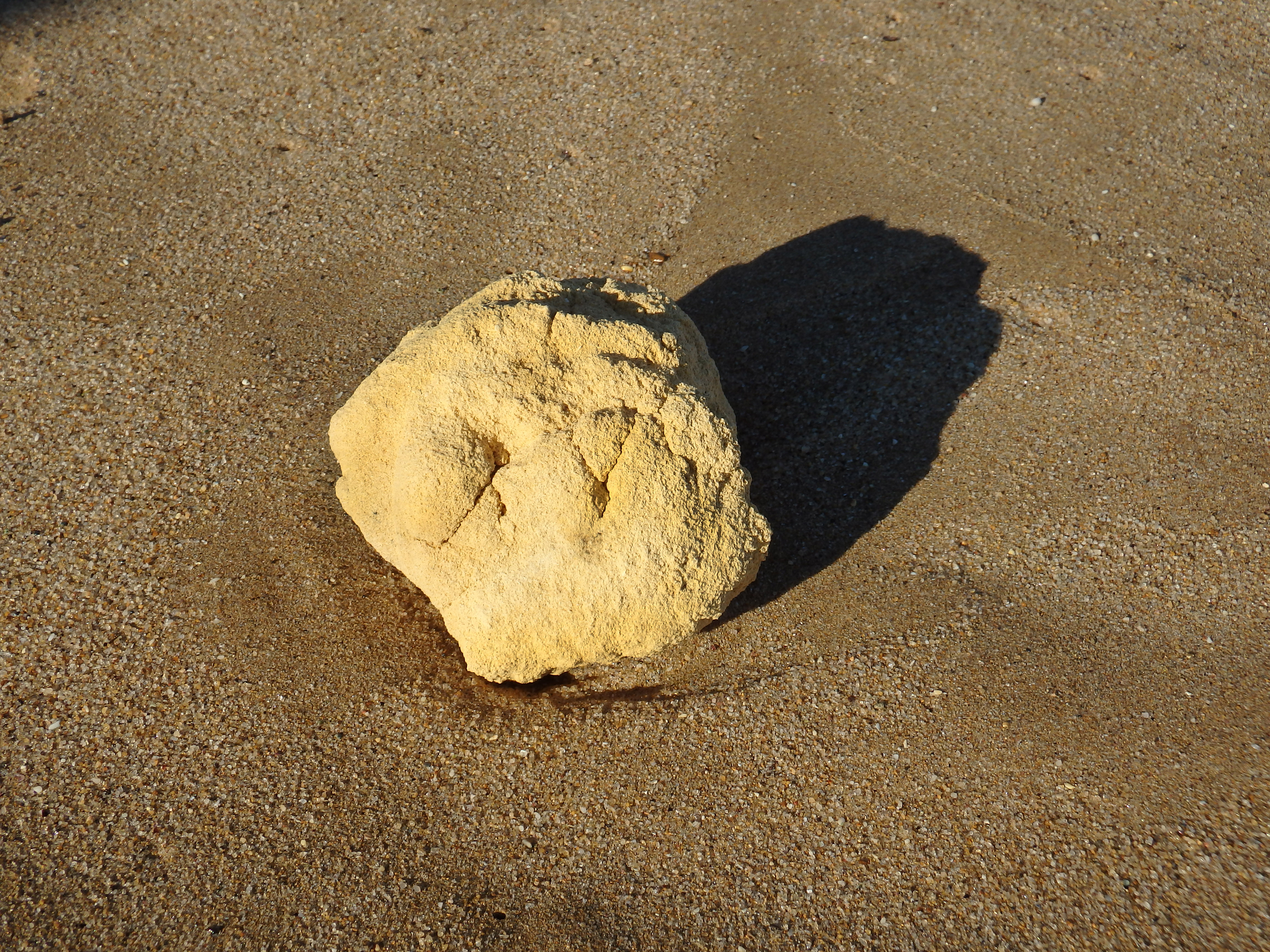Ambergris