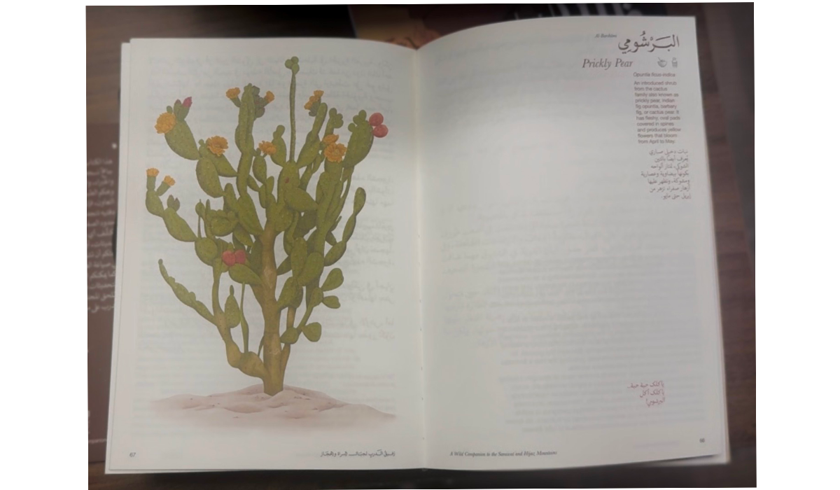 The first volume explores 101 species from the Sarawat and Hijaz highlands. (Supplied)