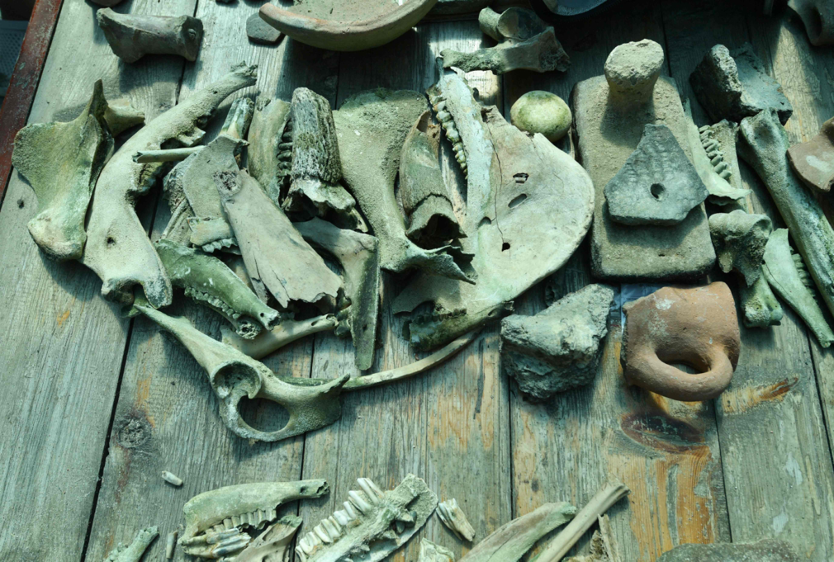 A photograph shows artifacts discovered by the expedition members at the underwater site on the bed of Lake Issyk-Kul in Kyrgyzstan on September 22, 2026. (Photo by Vyacheslav Oseledko/ AFP)