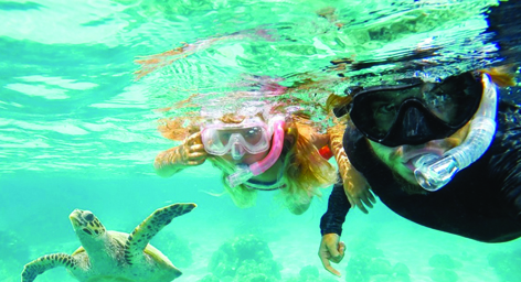 Red Sea Tourism Operations: Guided Snorkeling Access Expands | Press Glob