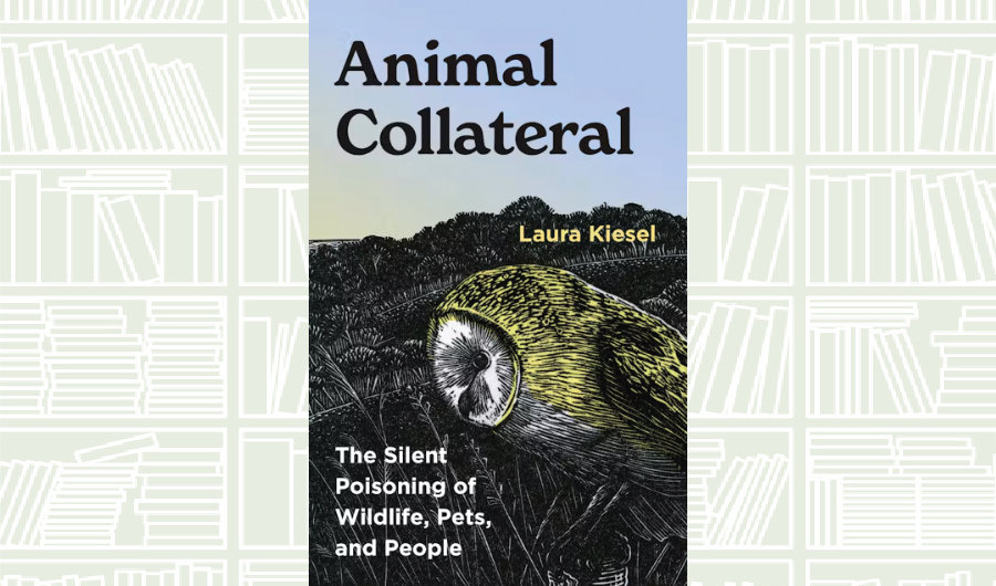 What We Are Reading Today: ‘Animal Collateral’ by Laura Kiesel