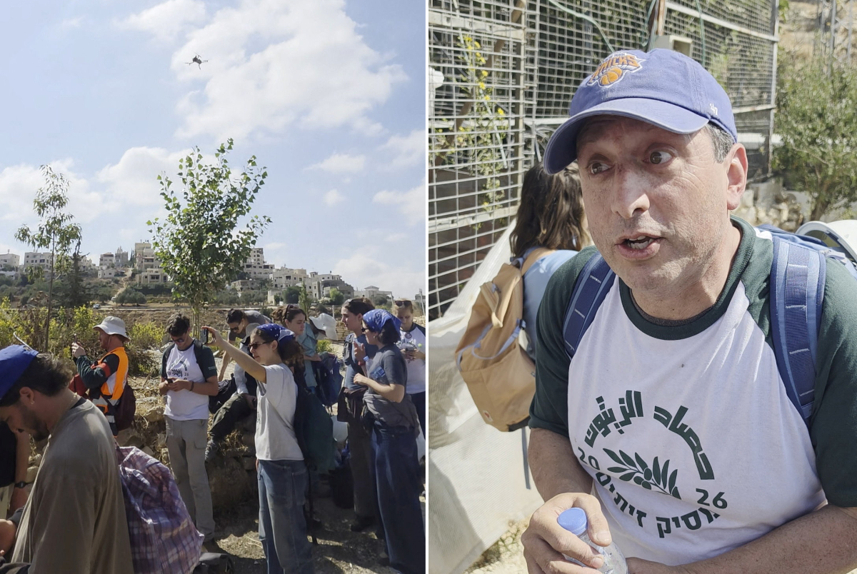 US politician and rabbi arrested for helping Palestinian farmers harvest olives in Bethlehem