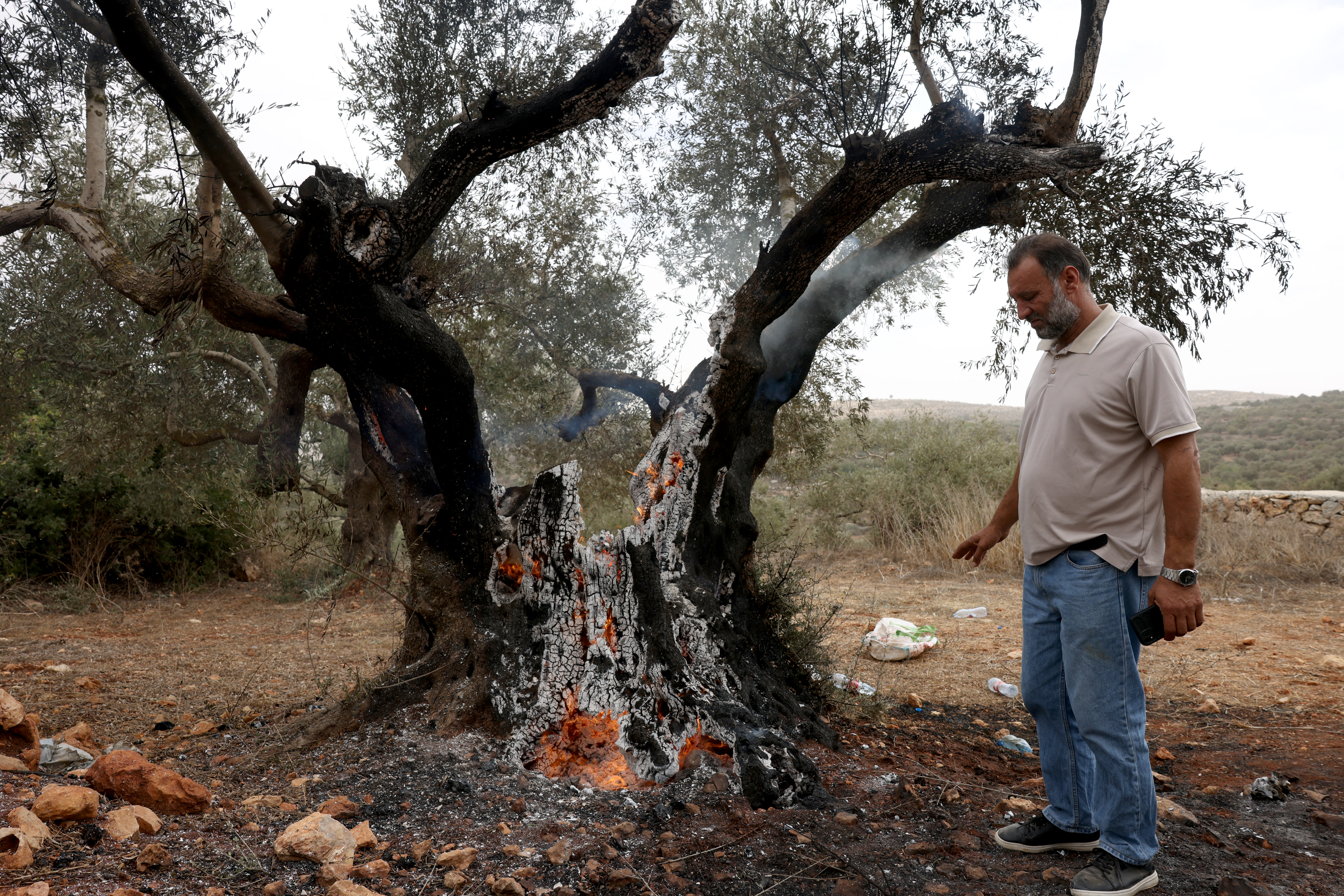 A Palestinian man stands next to a smouldering olive tree set alight by Israeli settlers, near Turmus Ayya, north of Ramallah. International observers accompany Palestinian farmers partly to deter violence, but the recent attacks on foreign nationals have exposed the limits of that protection. (AFP file)