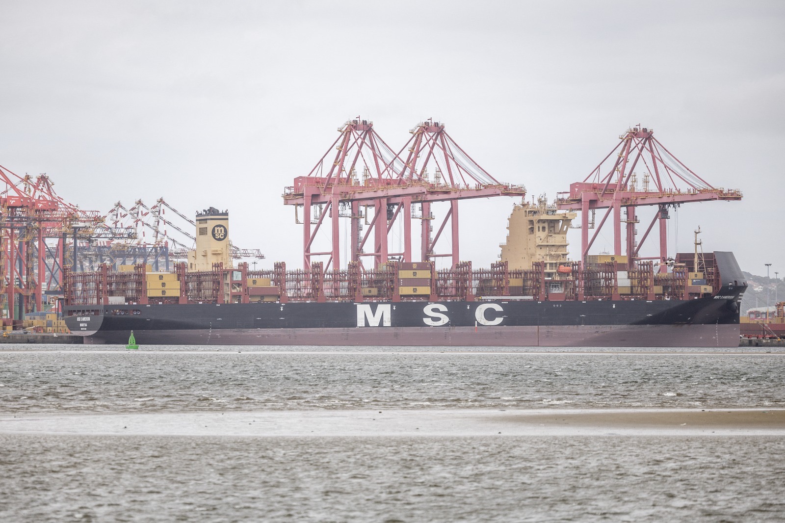 Building the economy Africa needs