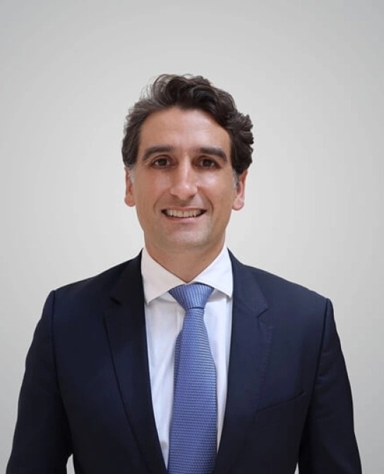 Nicholas Nahas, Partner, Arthur D. Little