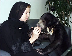 Animal Welfare in Poor State