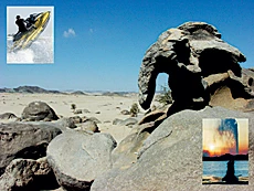 Tourism Due for Organizational Shake-Up