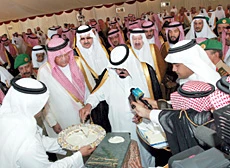 Water Storage Project for Taif