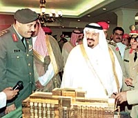 The Fittest Will Survive: Sultan