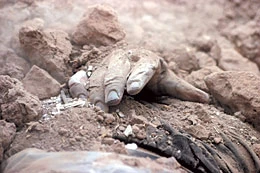 150 Dug Out Alive From Rubble in Bam
