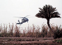 Blackhawk Downed