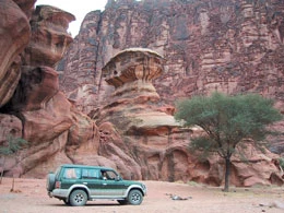 Dissa, the Best Kept Secret in Saudi Arabia?