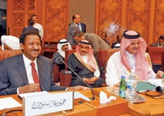 Arab League Calls for More Time to Resolve Darfur Crisis