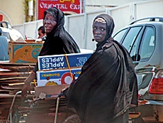 The Saudi Bin Lady Group