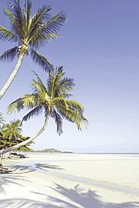 Koh Samui: From a Backpacker’s Refuge to a Haven of Romance