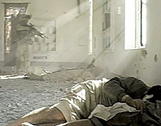 US Probes Slaying of Injured Iraqi