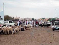 Residents Raise Stink Over Animal Stench