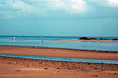 The Farasan Islands: Serendipitous Tourism