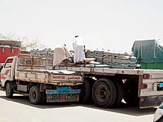 Cement Prices Continue to Rise