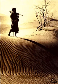Treading on Arabian Sands