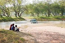 The Road to Paradise