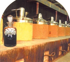 Aromas of Arabia