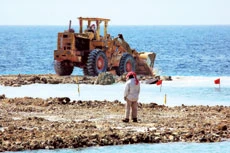 Waste From Seashore Construction Site Destroys Jeddah’s Coral Reef